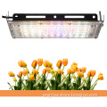 /msite/products/detail/productid/58217924/id/679434.html